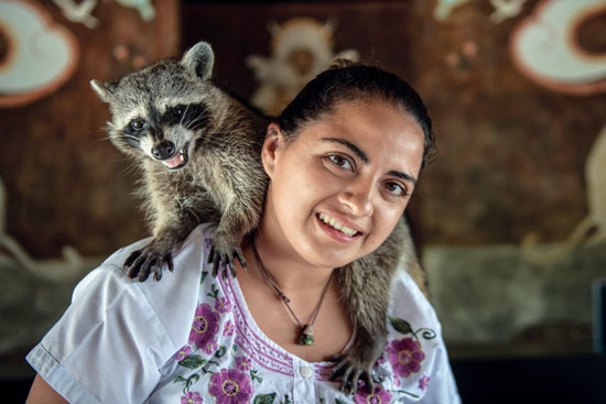 Yatzil, el mapache, junto a su dueña Tere en Xixim, Celestún / Herbey Morales