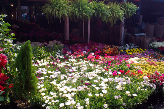 Mercado de flores de Xochimilco / Wikimedia Commons