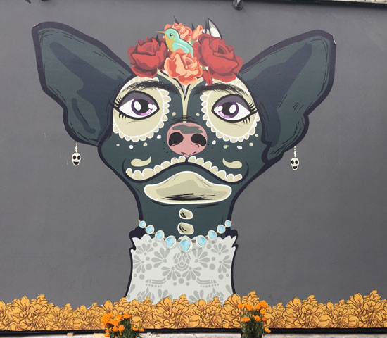 Mini García