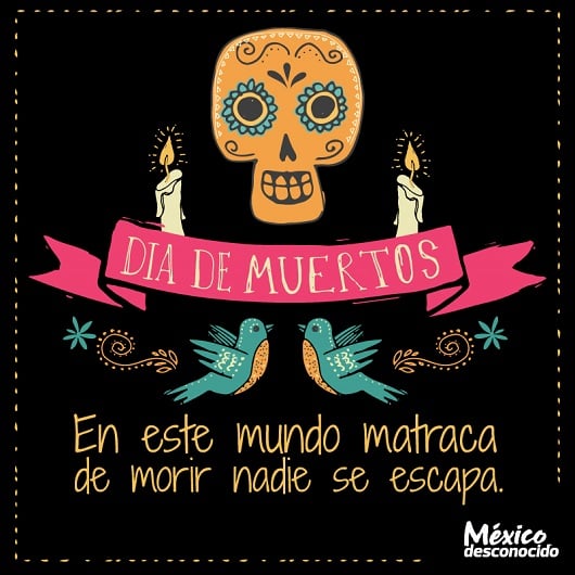 100 frases de Día de Muertos - México Desconocido