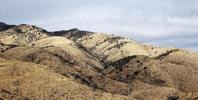 El Desierto De Sonora Un Lugar Lleno De Vida México Desconocido