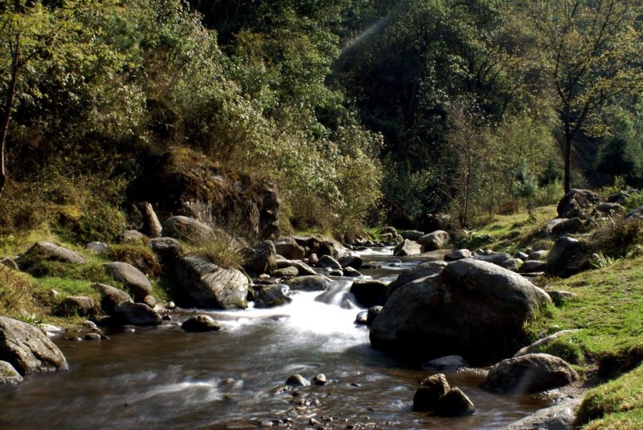 Los Dinamos, área natural de la Ciudad de México