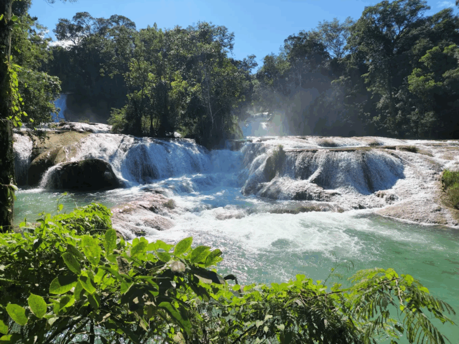 cascadas agua azul chiapas