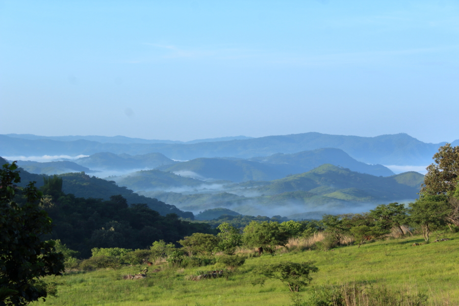 48480764932_33a40610b9_o