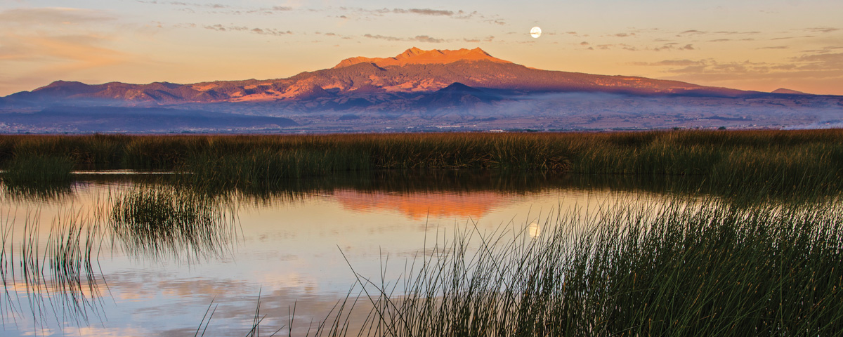 https://www.mexicodesconocido.com.mx/wp-content/uploads/2017/09/foto-album-cuatro-cienegas-mal-1200.jpg