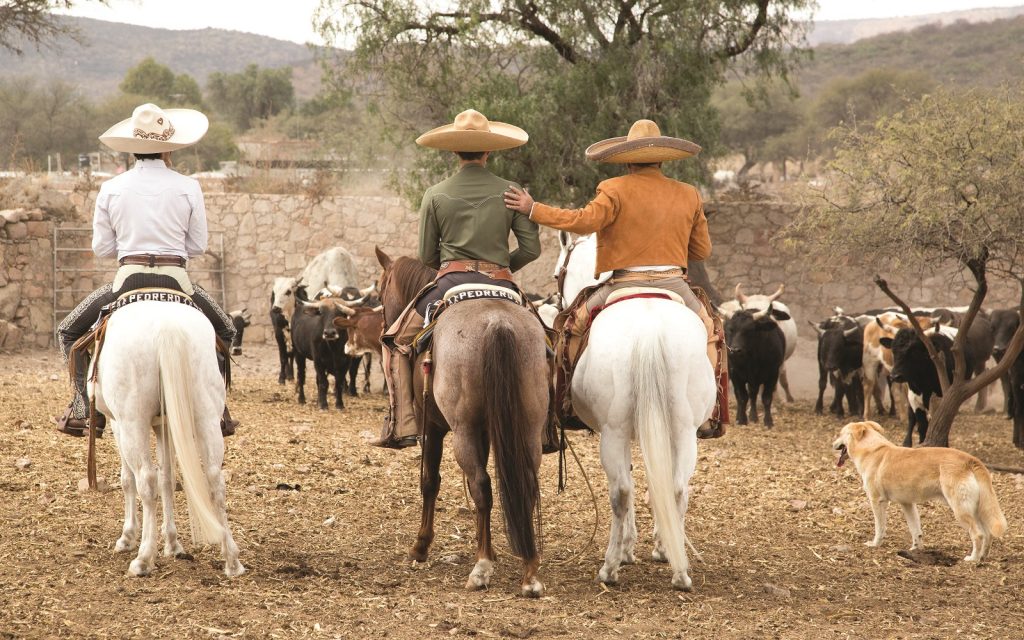 Charrería en México: en Jalisco.