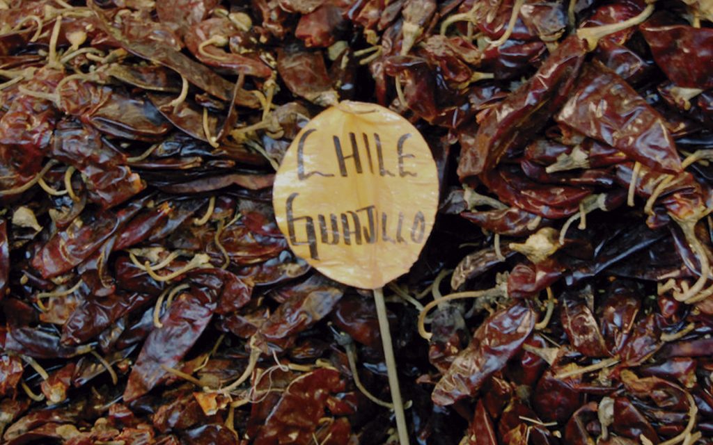 Chile guajillo.