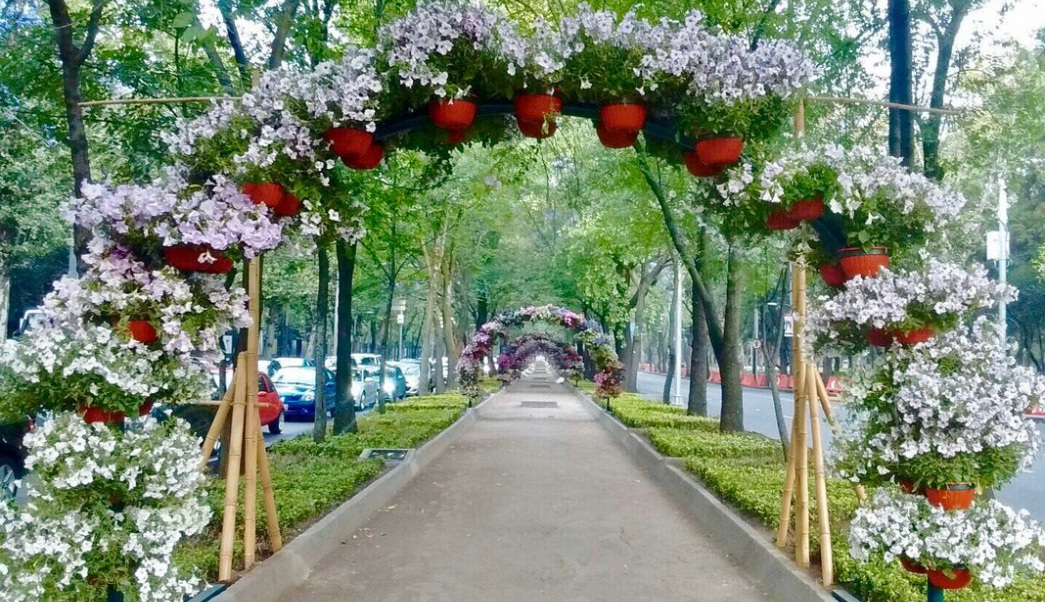 Ya viene el Festival de flores y jardines en Chapultepec - México  Desconocido