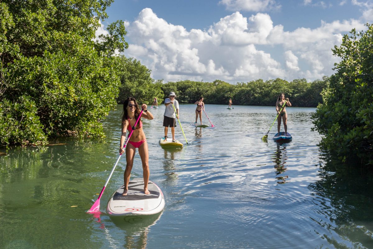 Paddle Board. Laguna Nichutpé, Cancún