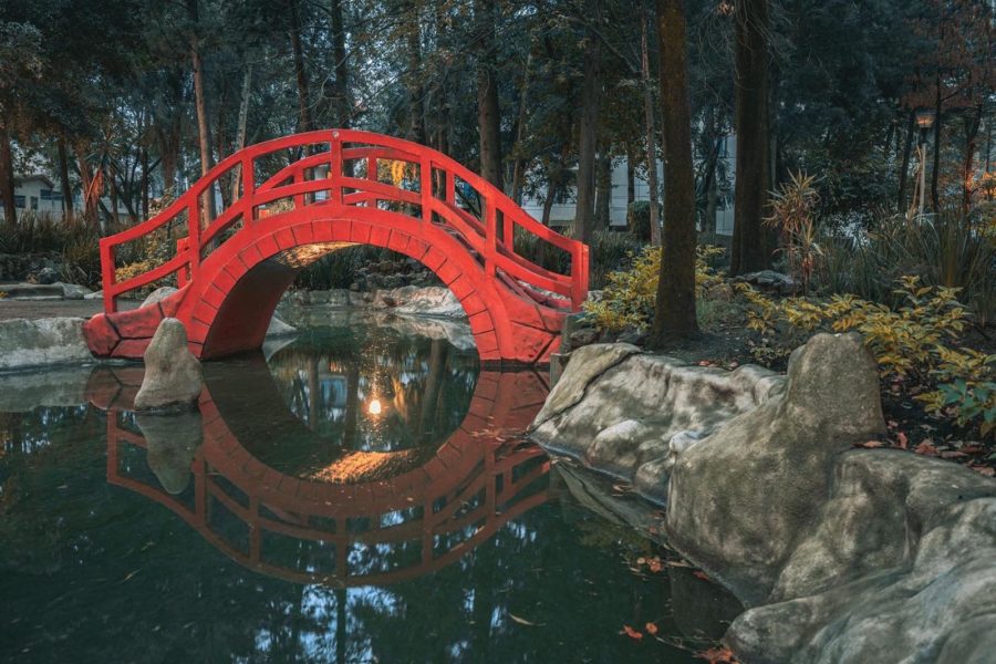 parque-japones-cdmx-01-JoseBarriga Puente del parque japonés