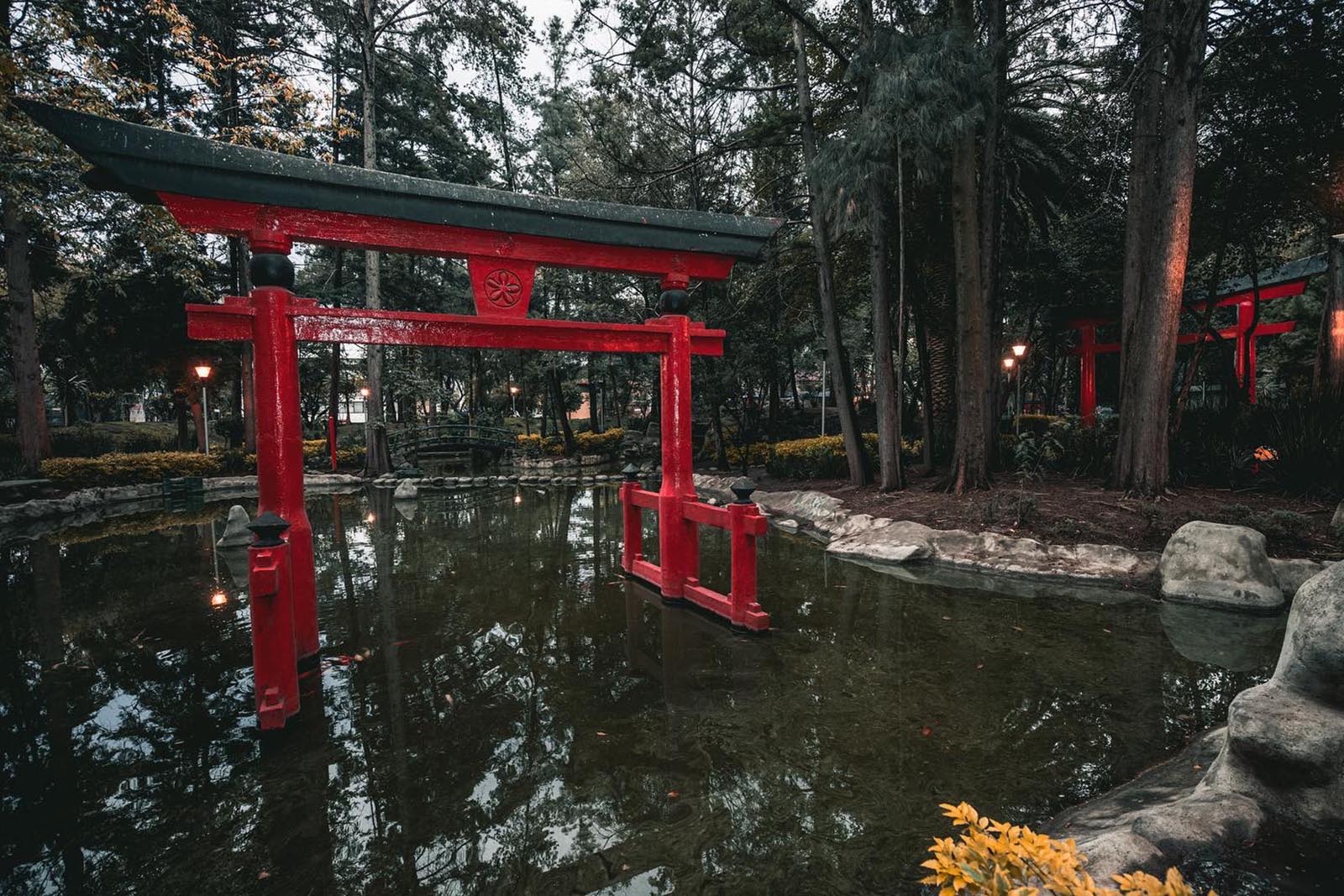 El bello jardín japonés escondido en la Ciudad de México | México