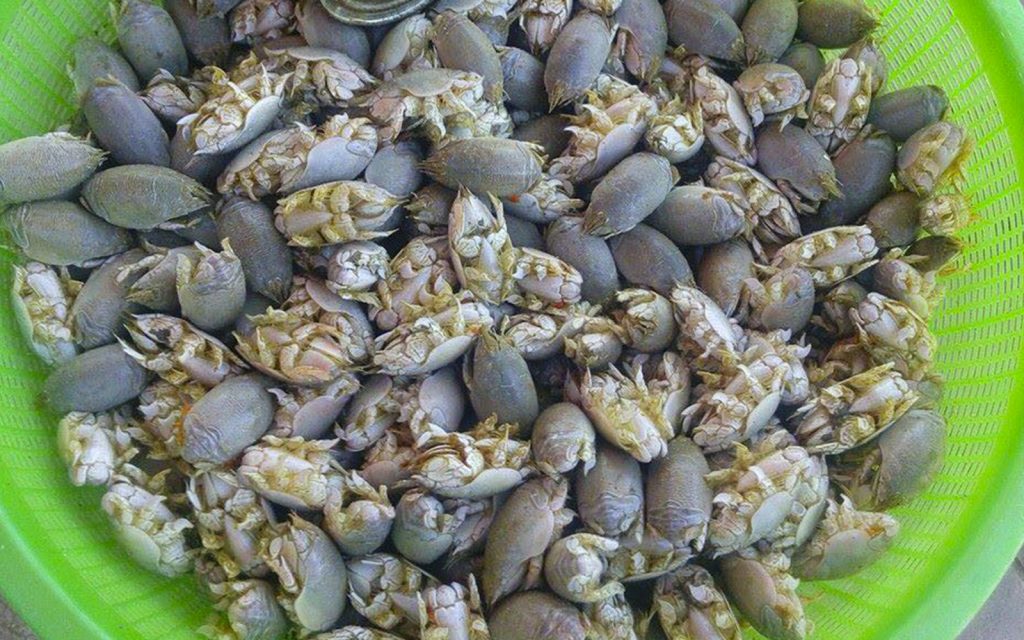 Chiquiliques