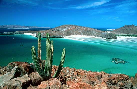 autómata Siesta montaje 5 Islas mexicanas que tienes que conocer ¡Visítalas!