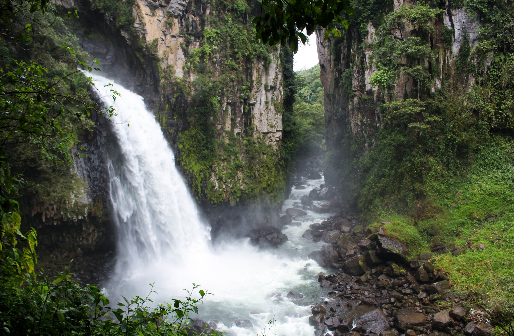 5 cascadas que no te puedes perder en Veracruz