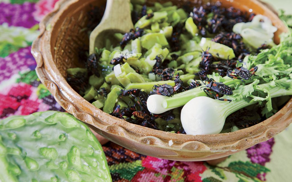 Nopales revolcados con Xamues