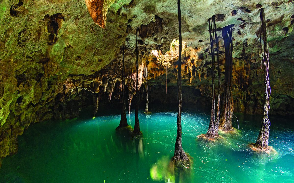 Nadar en cenotes de Quintana Roo, la mejor experiencia de aventura 2019 | México  Desconocido