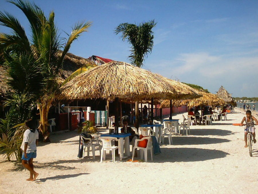Playas de Campeche, Manigua