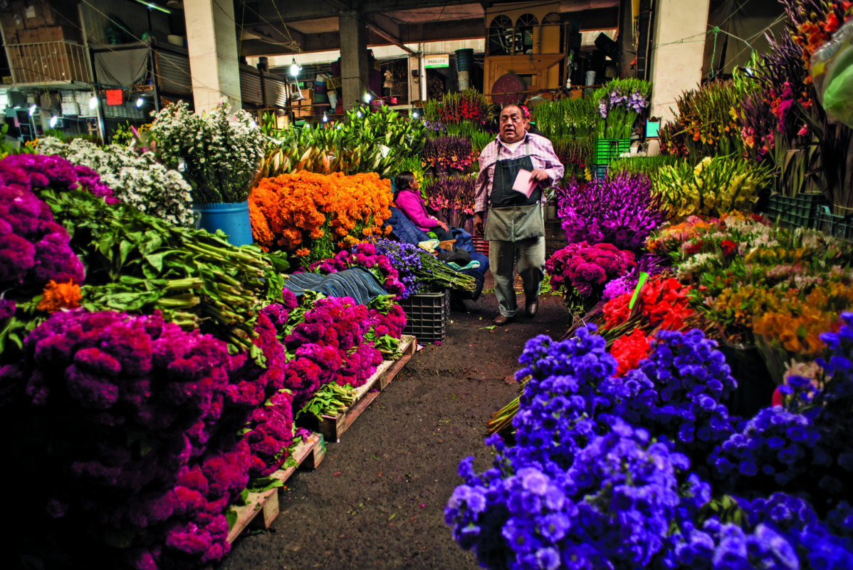 Mercados de flores en CDMX - México Desconocido