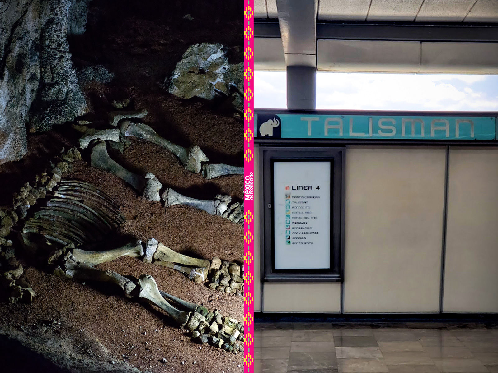 Los restos del mamut encontrado en la estación Talisman del metro - México  Desconocido