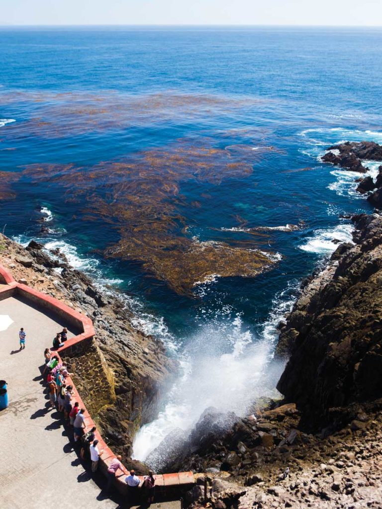 Escorts Ensenada Mexico