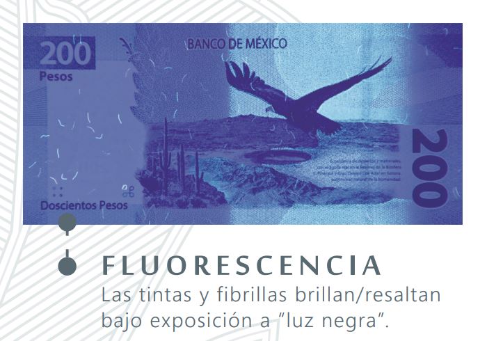 Adiós Sor Juana! Así luce el nuevo billete de 200 pesos - México Desconocido