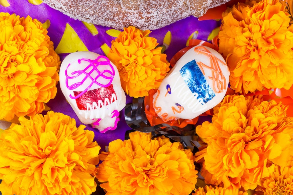 La flor de cempasúchil, un ícono de Día de Muertos - México Desconocido