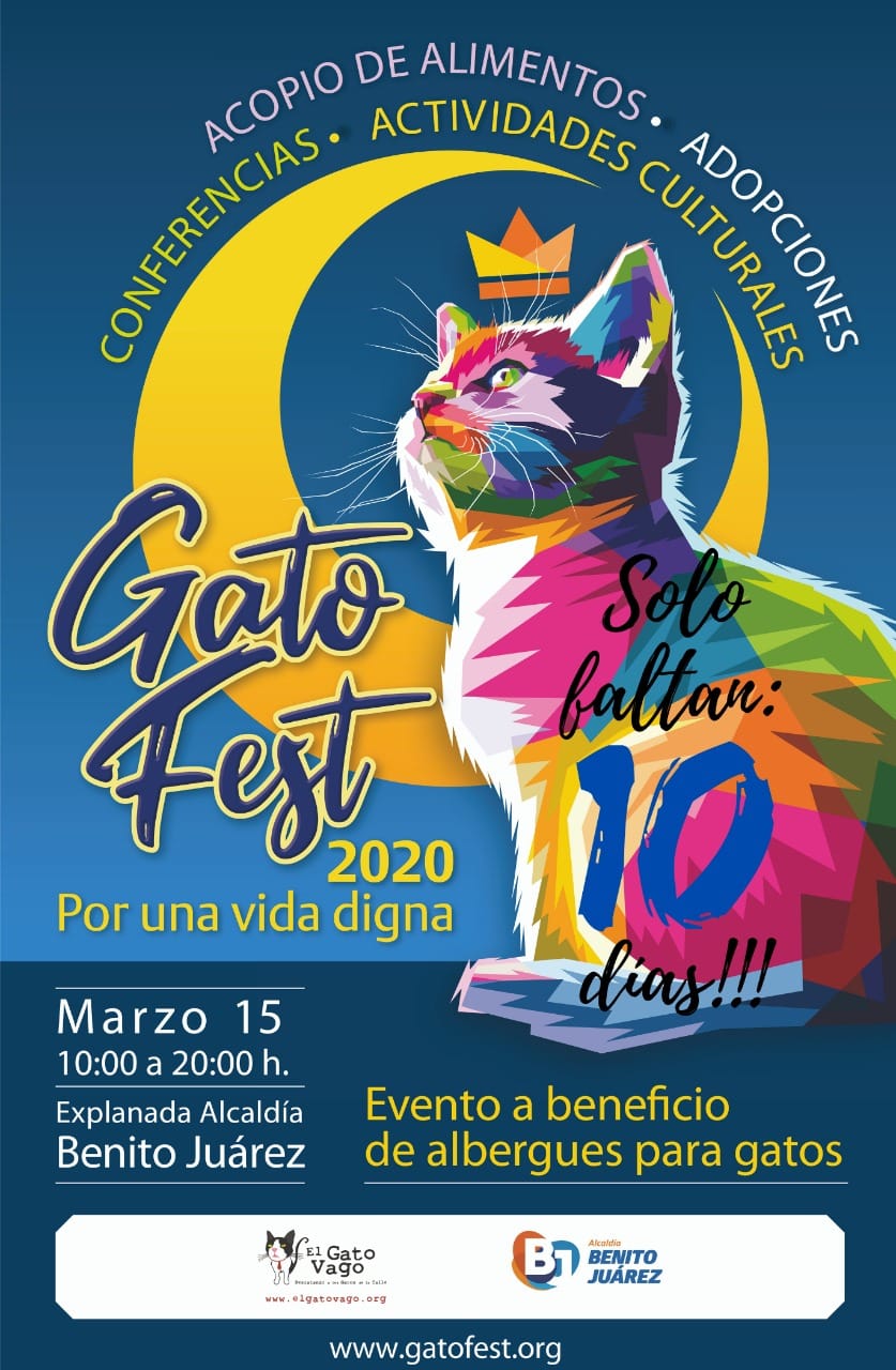 Gato Fest 2020 el evento para los amantes de los felinos México