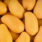 mango-ataulfo