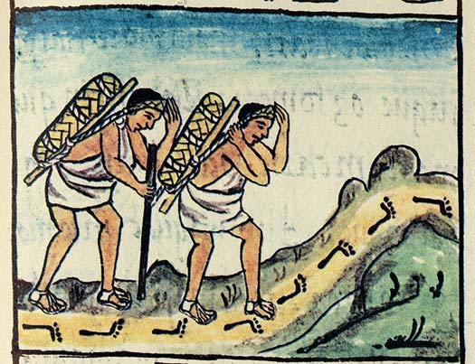 Tamemes prehispánicos cargando petates