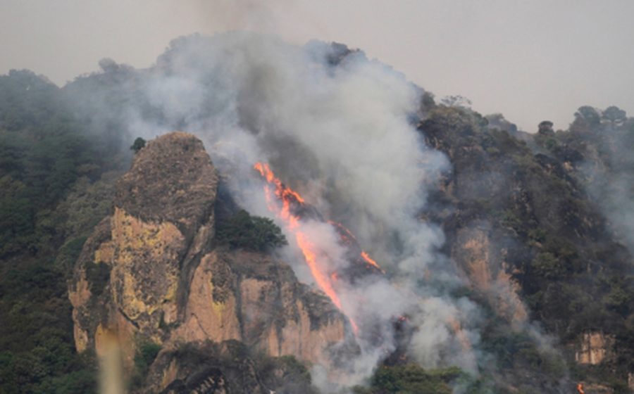 proteccion-civil-estatal-incendio-afecta
