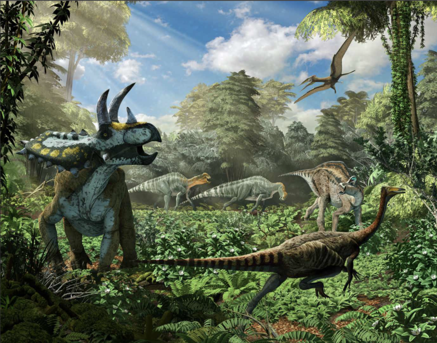 Sin precedentes: encuentran restos de nuevo dinosaurio en Coahuila - México  Desconocido
