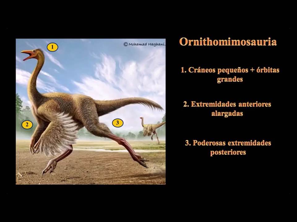 Sin precedentes encuentran restos de nuevo dinosaurio en Coahuila