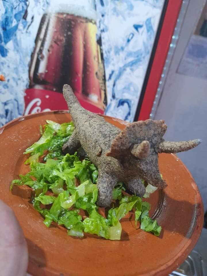 Dinoquesadillas de Coahuila