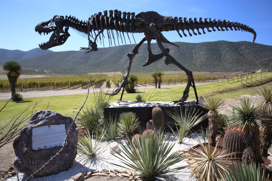 Íconos Paleontológicos de Coahuila