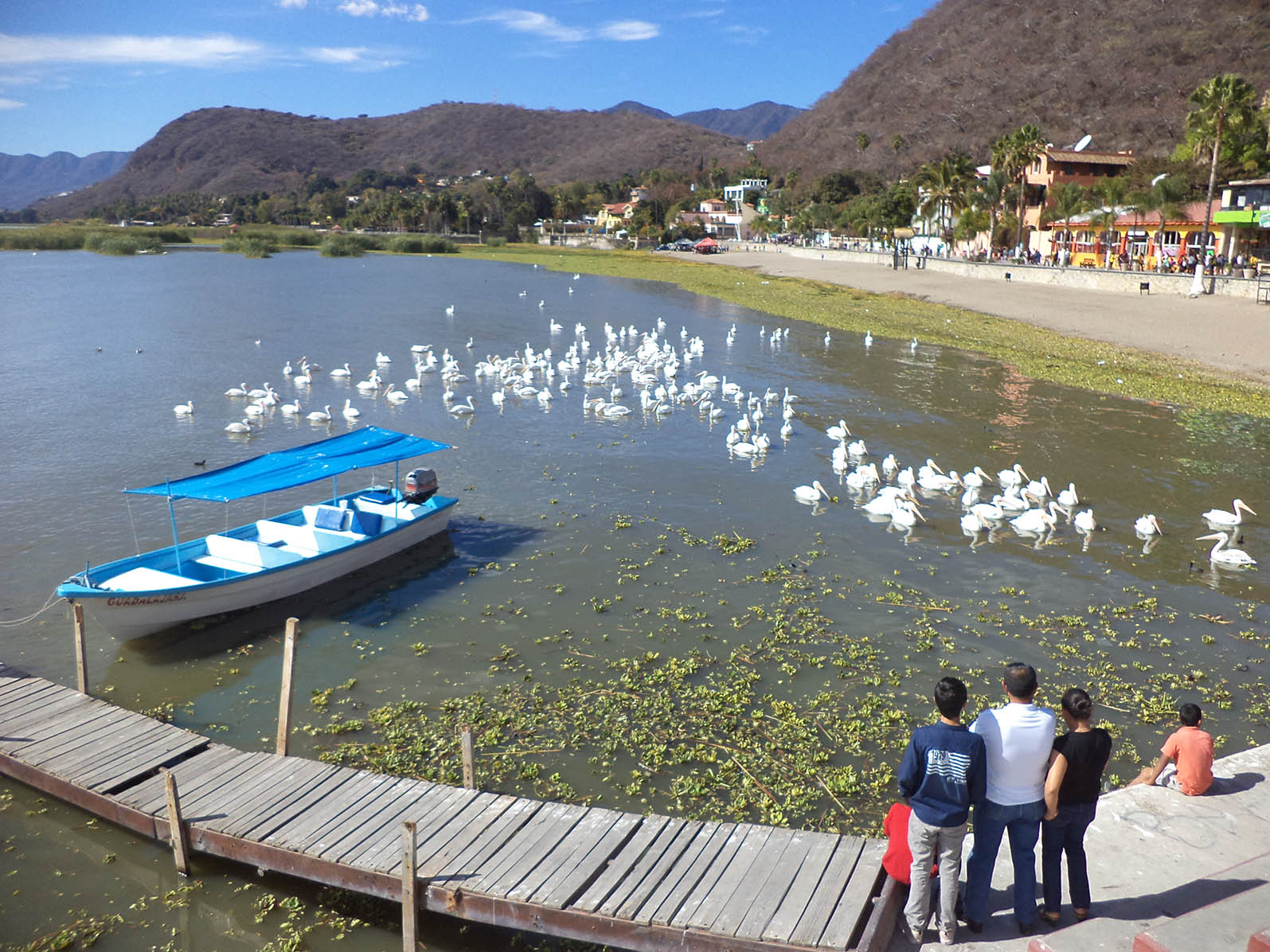 Recorrido Por El Lago De Chapala De Historia Atardeceres Y Potrillos