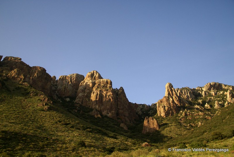 Lugares en Coahuila: Maderas del Carmen