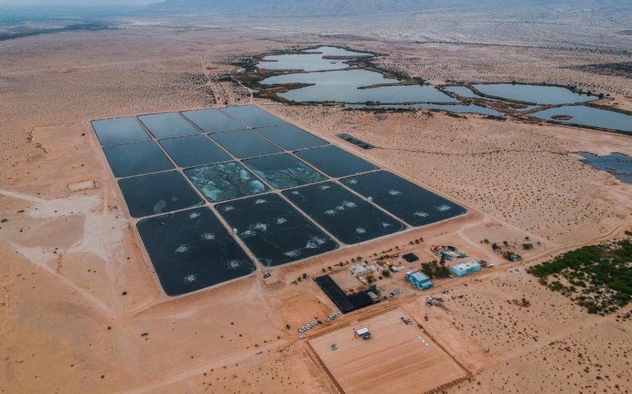 Mexicali tendrá nuevo humedal artificial