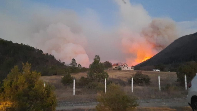 Incendio en Arteaga, Coahuila