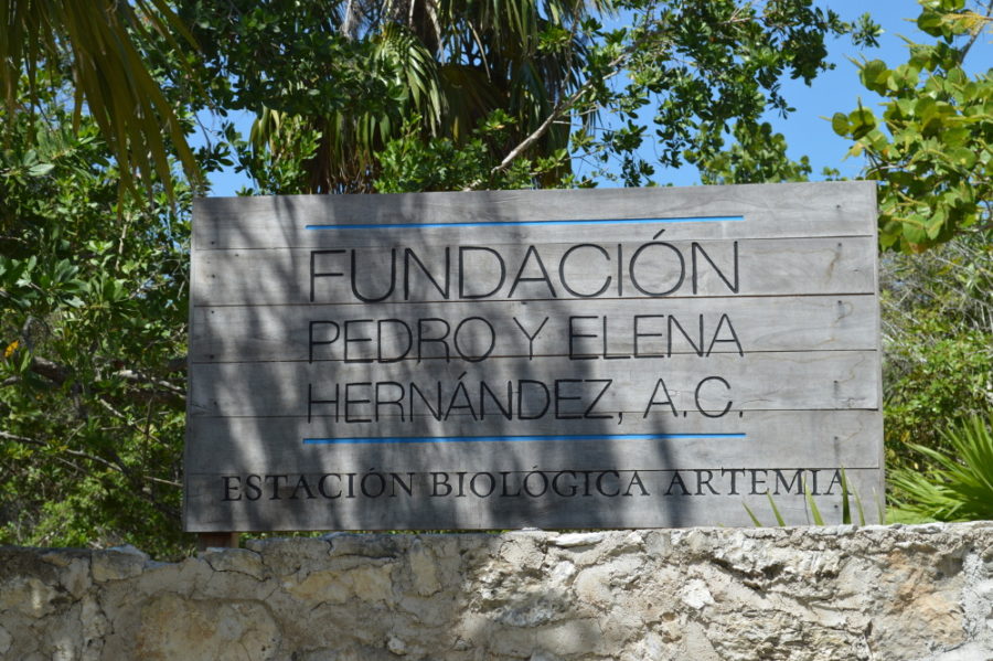 Fundación Pedro y Helena en El Cuyo