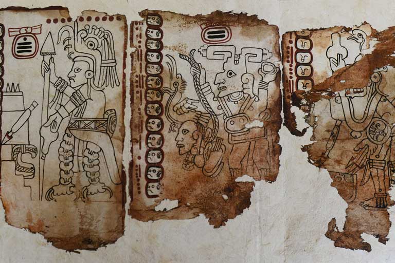 Confirman la autenticidad del Códice Maya de México, el libro legible más  antiguo de nuestro país - México Desconocido