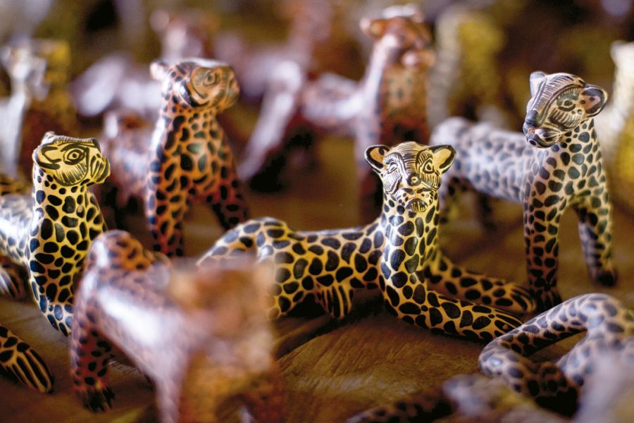los jaguares de Amatenango del Valle