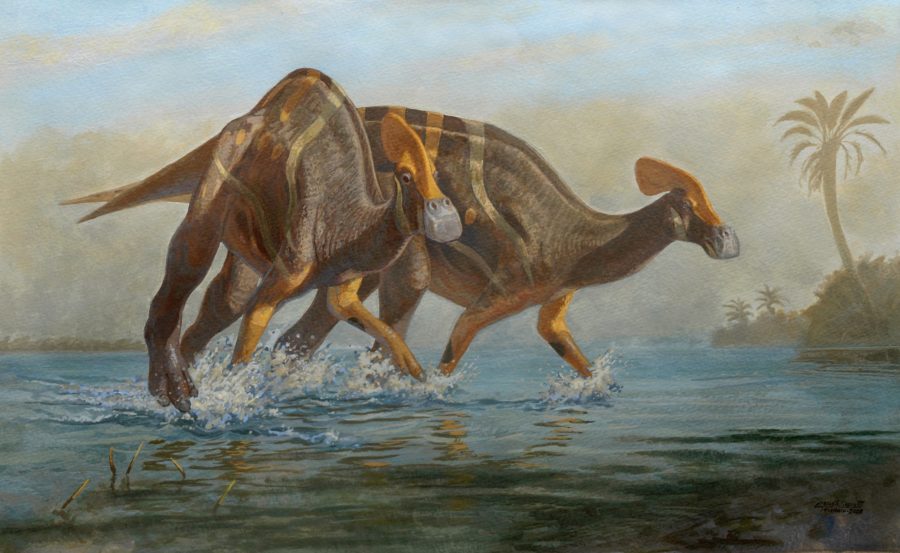 ilustración hadrosaurio