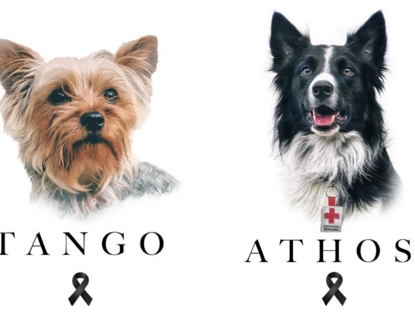 Athos y Tango