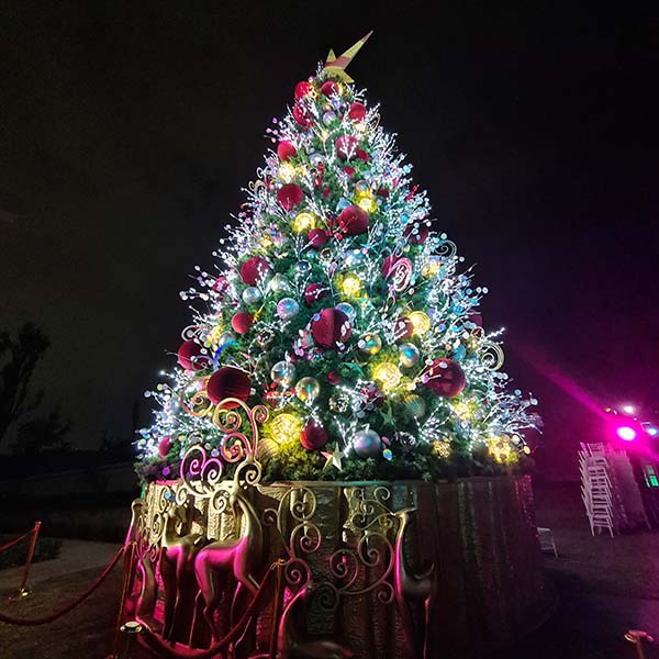 La época decembrina llega a la CDMX con el Festival Ilusiones de Navidad -  México Desconocido