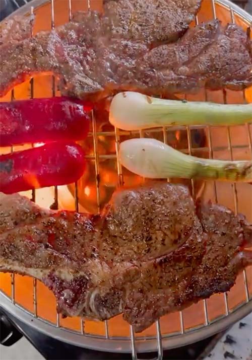 Asador para estufa, una manera sencilla de hacer la carnita asada