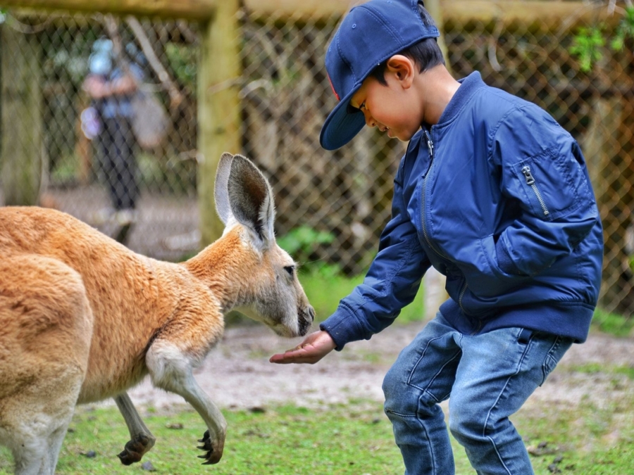 zoológicos en México