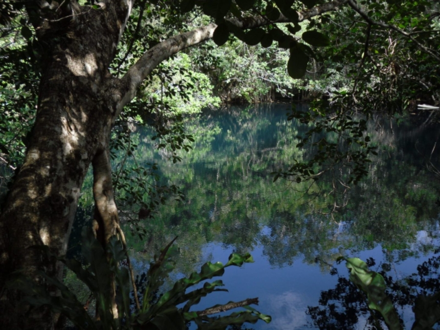 cenote Angelita