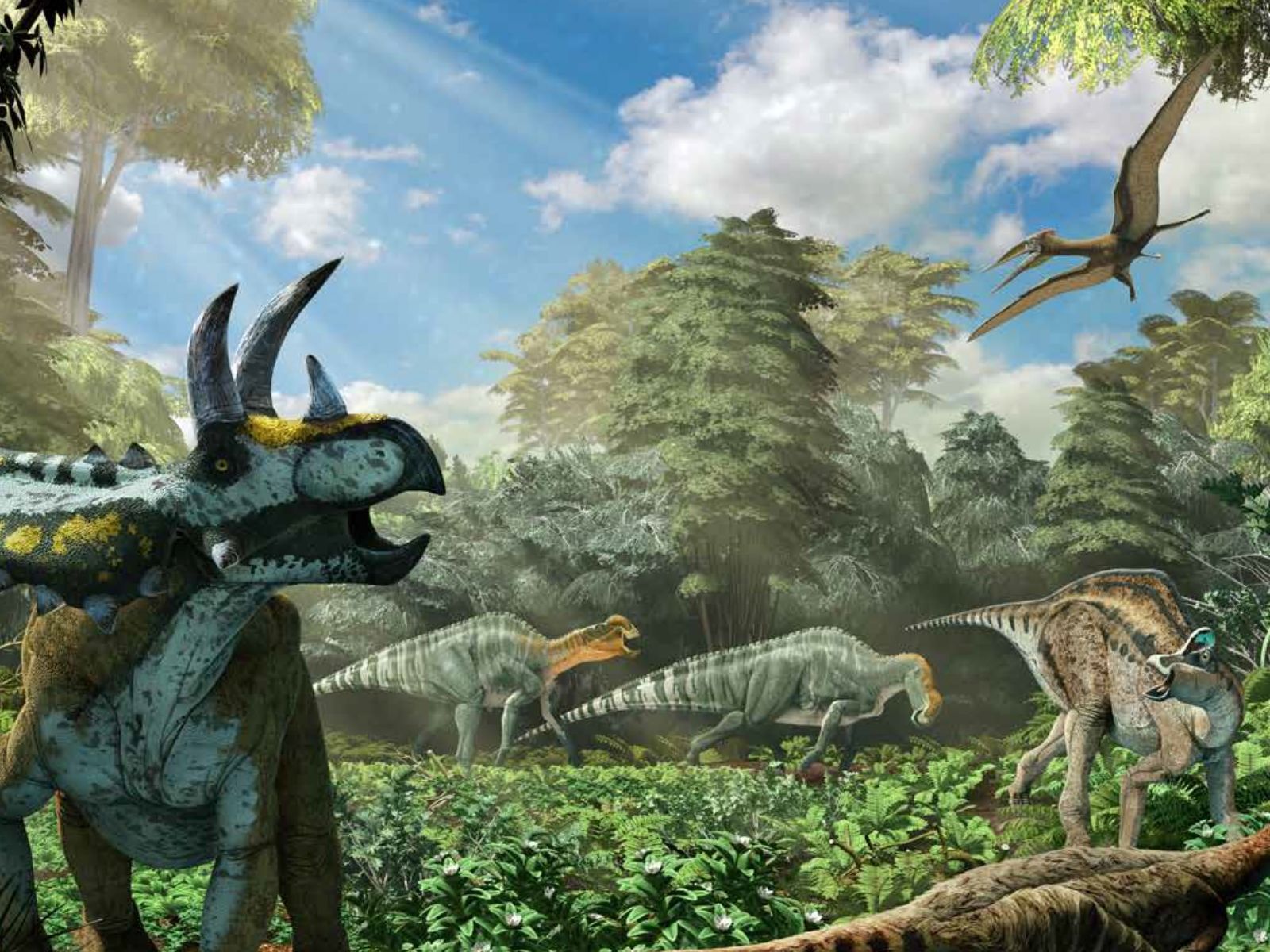 Aves, pterosaurios y dinosaurios en Coahuila: Descubren huellas de hace 66  millones de años - México Desconocido