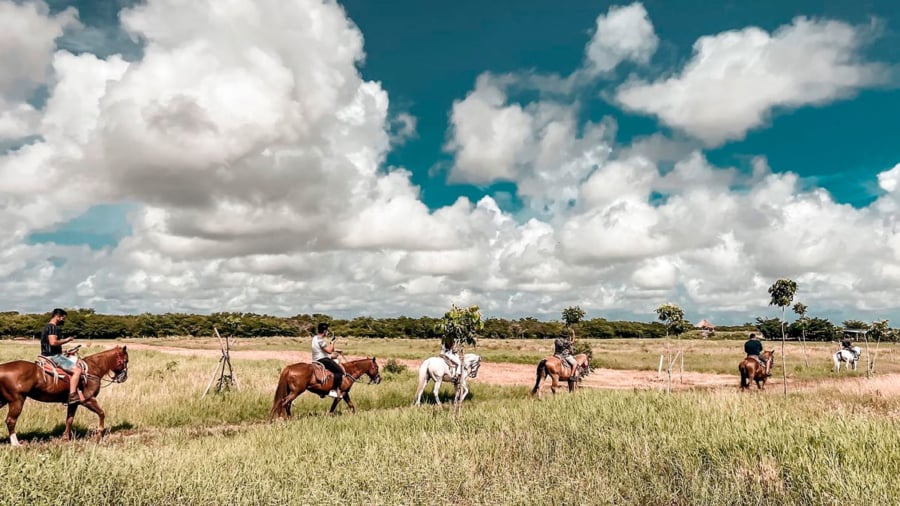 Paseo a caballo por las haciendas de Yucatán