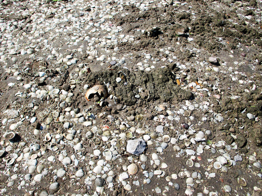 La Playa zona arqueológica Sonora